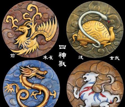 青龍 白虎 朱雀 玄武|四象: 青龙,白虎,朱雀,玄武